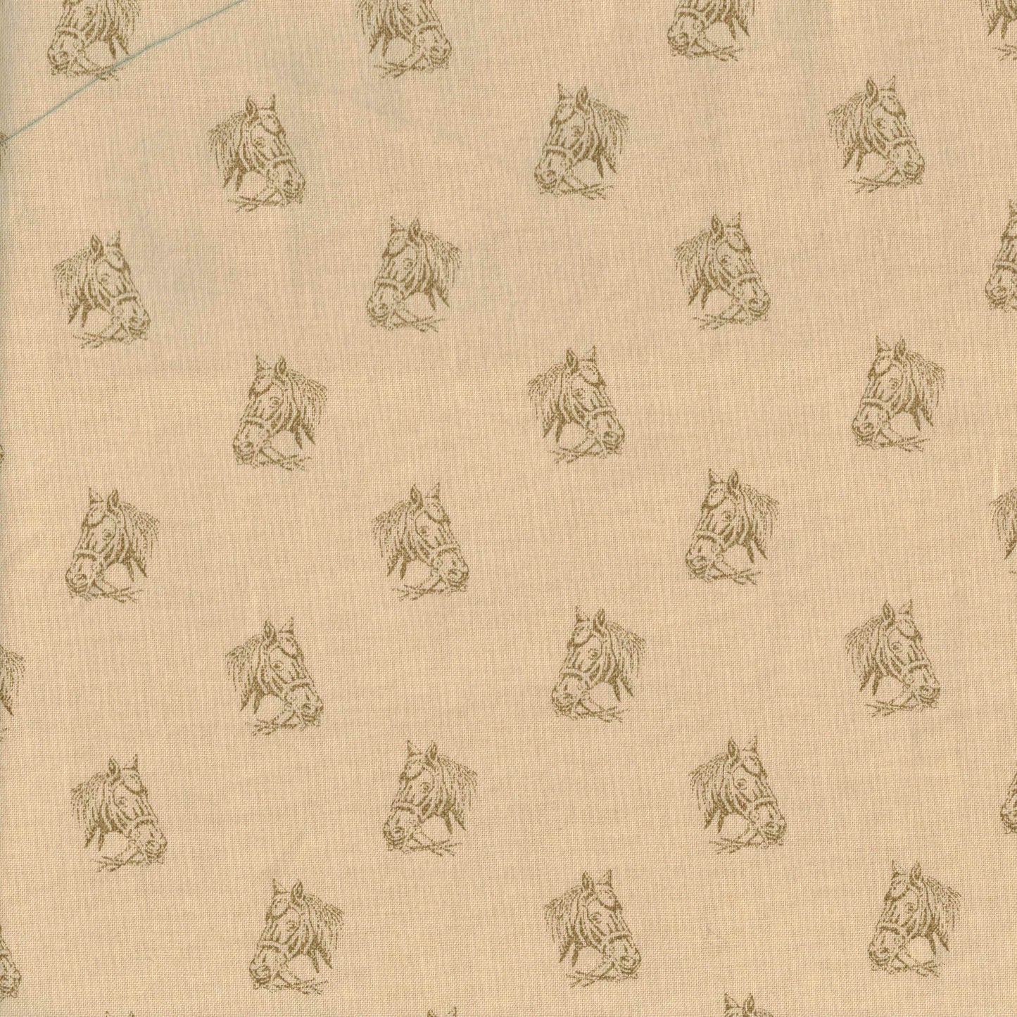 Tissu coton à tête de cheval