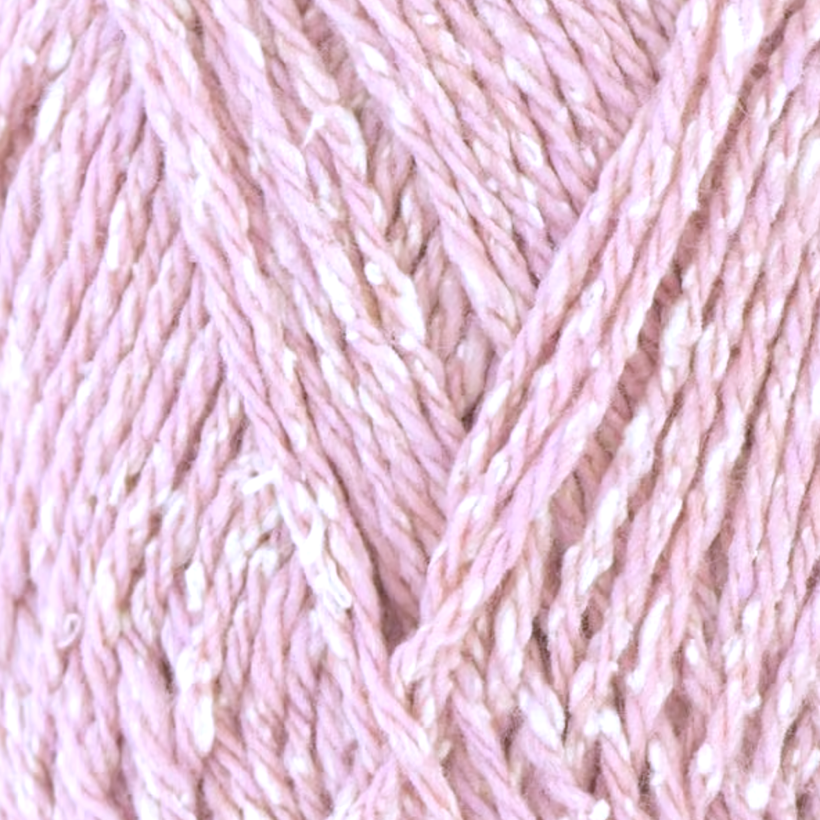 Ecoton Rose Bergère de France