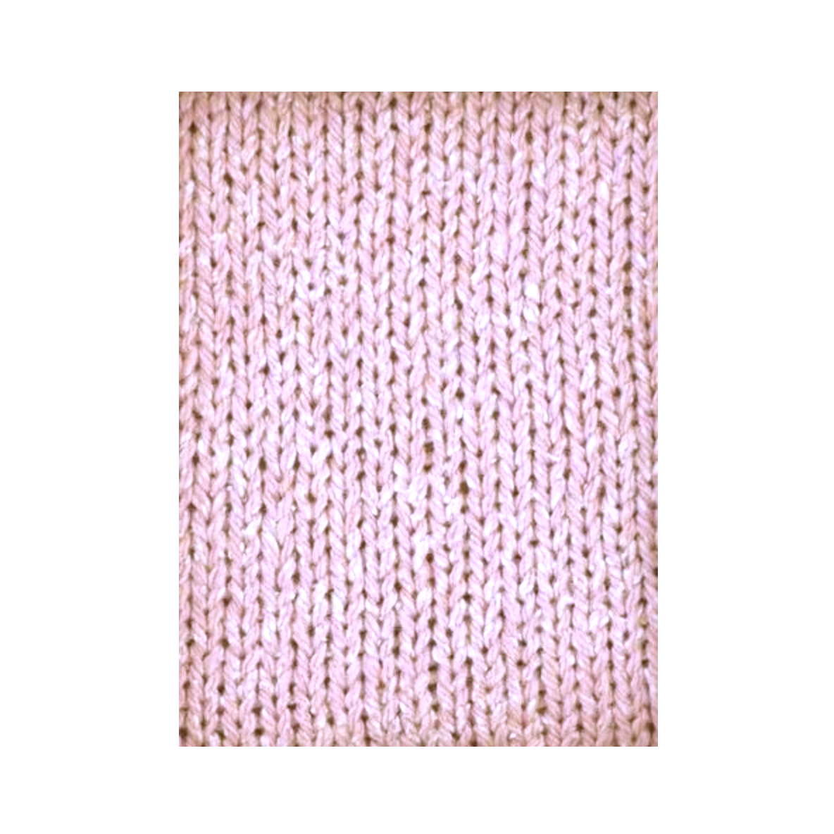 Ecoton Rose Bergère de France